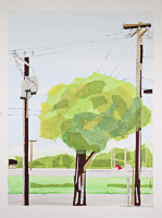 Collage and mixed media abstract of a tree with telephone and electrical poles.